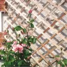Compra CELOSÍA EXTENSIBLE MADERA TRELLIWOOD 1 X 2 M NORTENE 170221/2019461 al mejor precio
