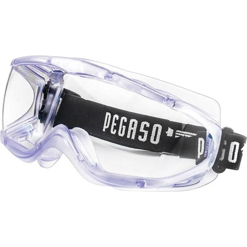 Compra GAFA PROTECCION XL21 INCOLORA PEGASO 21 XL21 al mejor precio