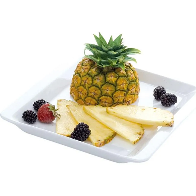 Compra FUENTE PORCELANA GUSTITO 25X25 CM TESCOMA 386114 al mejor precio