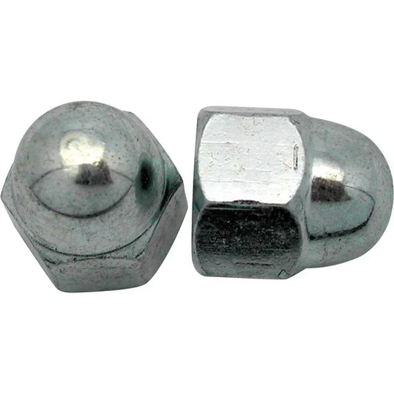 Compra TUERCA CIEGA INOX 2 UNIDADES M-6 FER 2957 al mejor precio