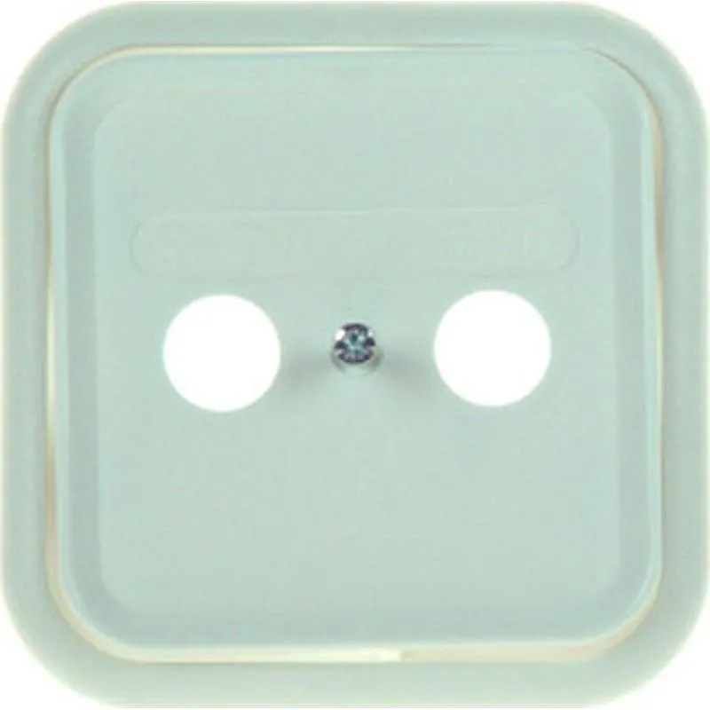 Compra TAPA RADIO-TV + SAT CON MARCO BLANCO SERIE 31 SIMON G3109760 al mejor precio