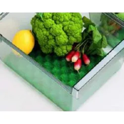 Compra BASE CONSERVANTE PARA NEVERAS RAYEN 6313.01 al mejor precio