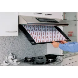 FILTRO CAMPANA CON...