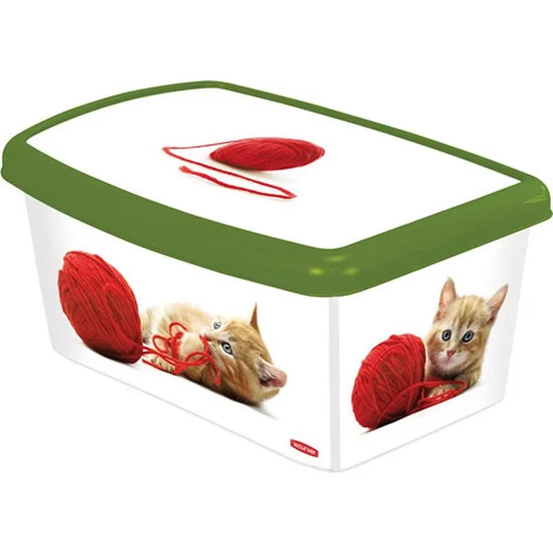 Compra CAJA DECORADA ACCESORIOS PERROS 04706-P77-04 181189 al mejor precio