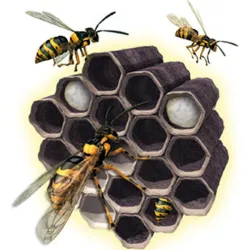 Compra INSECTICIDA PARA AVISPEROS 750 ML LARGA DISTANCIA 4 MT PREBEN 231206 al mejor precio