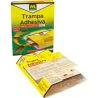 Compra TRAMPA ADHESIVA CUCARACHAS 5 UNIDADES MASSÓ 231708 al mejor precio