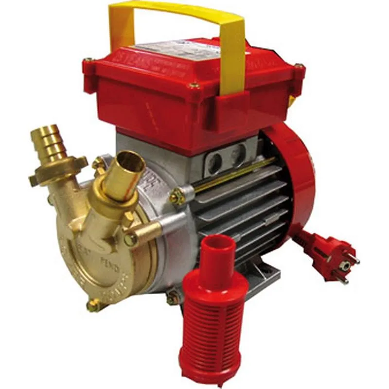 Compra BOMBA TRASVASE LIQUIDOS ALIMENTARIOS 0,5 CV 1.500 L/H CAMPEON BEM20 al mejor precio