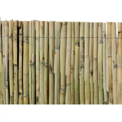 CAÑIZO NATURAL PARTIDO...