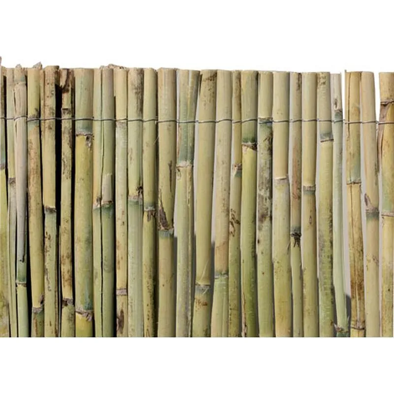 Compra CAÑIZO NATURAL PARTIDO NACIONAL 2 X 5 M NON 1003 al mejor precio