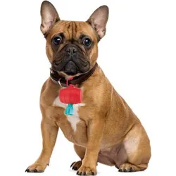 Compra BARRILETE BOLSAS MASCOTA UMBRA 480381-022 al mejor precio