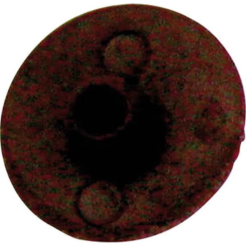 Compra EMBELLECEDOR PLASTICO TORNILLO 15 UDS diametro5MM - MARRON FER 2621 al mejor precio