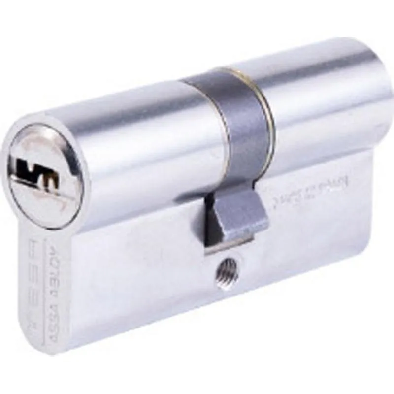 Compra CILINDRO T60 LEVA LARGA 30-50 NIQUEL, 5 LLAVES TESA T6553050N al mejor precio