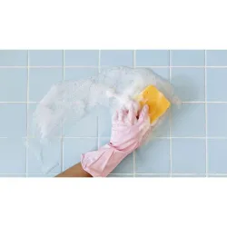 Compra LIMPIADOR UNIVERSAL ARCILLA BLANCA 400 GR IRISANA 72.IR21 al mejor precio