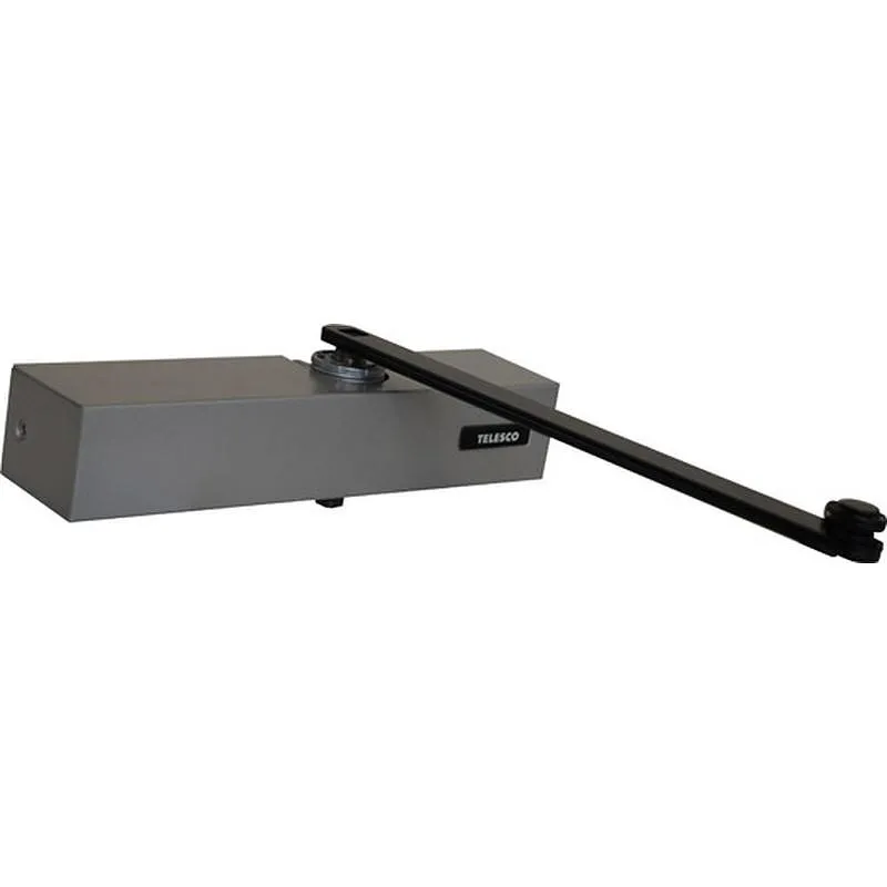 Compra CIERRAPUERTA CT-3006 4 PLATA TESA CT30064PL al mejor precio