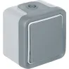 Compra CONMUTADOR SUPERFICIE GRIS IP55 PLEXO LEGRAND 191501 al mejor precio