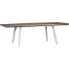 Compra MESA RESINA HARMONY EXTENSIBLE 160-240 X 100 CM BLANCO/CAPUCHINO KETER 228458 al mejor precio