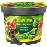 Compra MACETA PLANTACION ' PLANTING POT ' diametro 22 CM COMPO 2305508011 al mejor precio