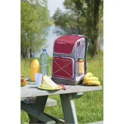 Compra NEVERA FLEXIBLE MOCHILA URBAN PICNIC 30 L GRANATE/GRIS CAMPINGAZ 2000024781 al mejor precio