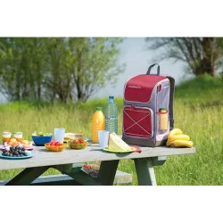 Compra NEVERA FLEXIBLE MOCHILA URBAN PICNIC 30 L GRANATE/GRIS CAMPINGAZ 2000024781 al mejor precio