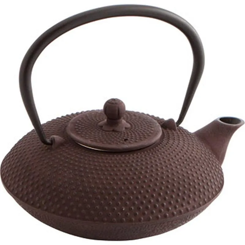 Compra TETERA HIERRO CON FILTRO 0,8 L 7407037 al mejor precio