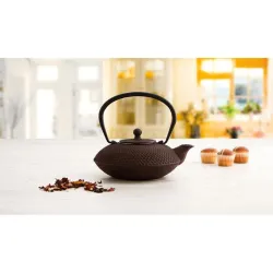 Compra TETERA HIERRO CON FILTRO 0,8 L 7407037 al mejor precio