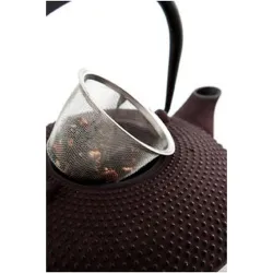 Compra TETERA HIERRO CON FILTRO 0,8 L 7407037 al mejor precio