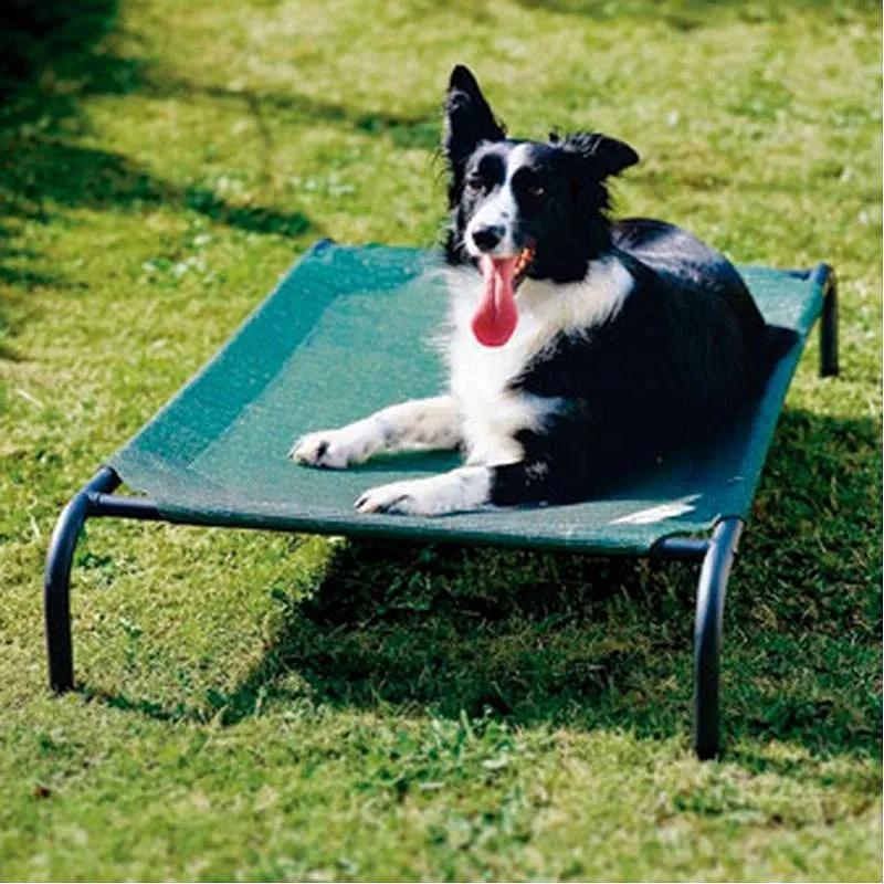 Compra CAMA MASCOTA M VERDE 110X65X20CM HASTA 36KG COLAROO 317270 al mejor precio