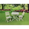 Compra MESA MADERA +2 SILLAS PLEGABLES DECAPE 70 X 70 CM IMPORT T001-C549 al mejor precio