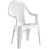 Compra SILLON MONOBLOC NAPOLI BLANCO IMPORT 10513 al mejor precio