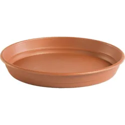 PLATO MACETA REDONDA...