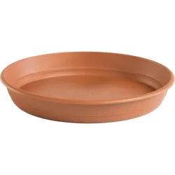 PLATO MACETA REDONDA...