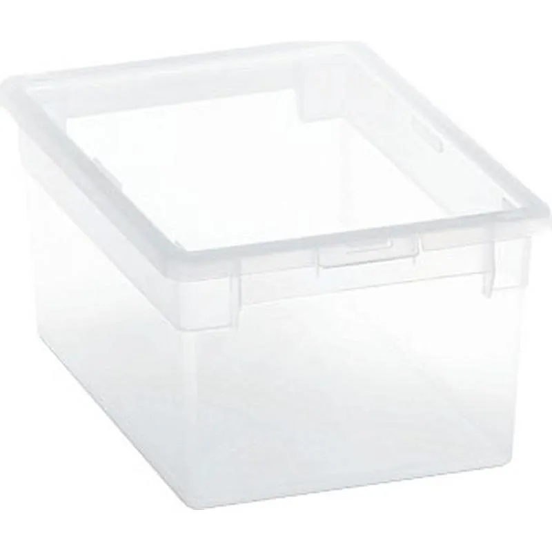 Compra CAJA MULTIUSOS LIGHT BOX TRANSPARENTE 6 L TERRY 1001969 al mejor precio
