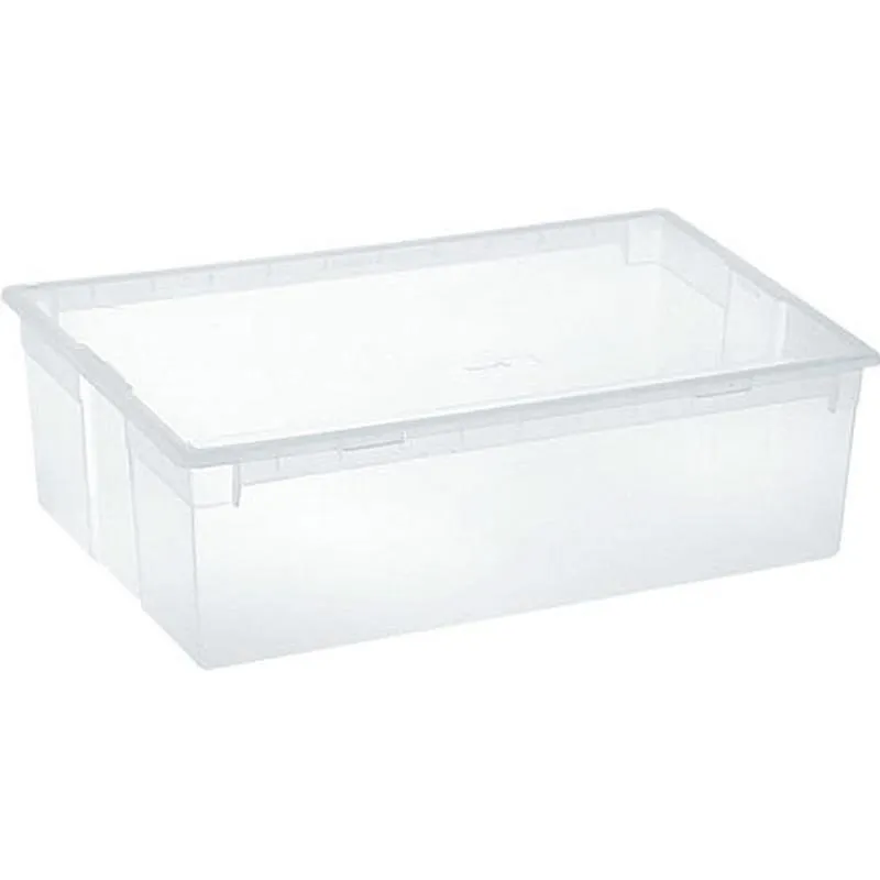 Compra CAJA MULTIUSOS LIGHT BOX TRANSPARENTE 36 L TERRY 1001381 al mejor precio
