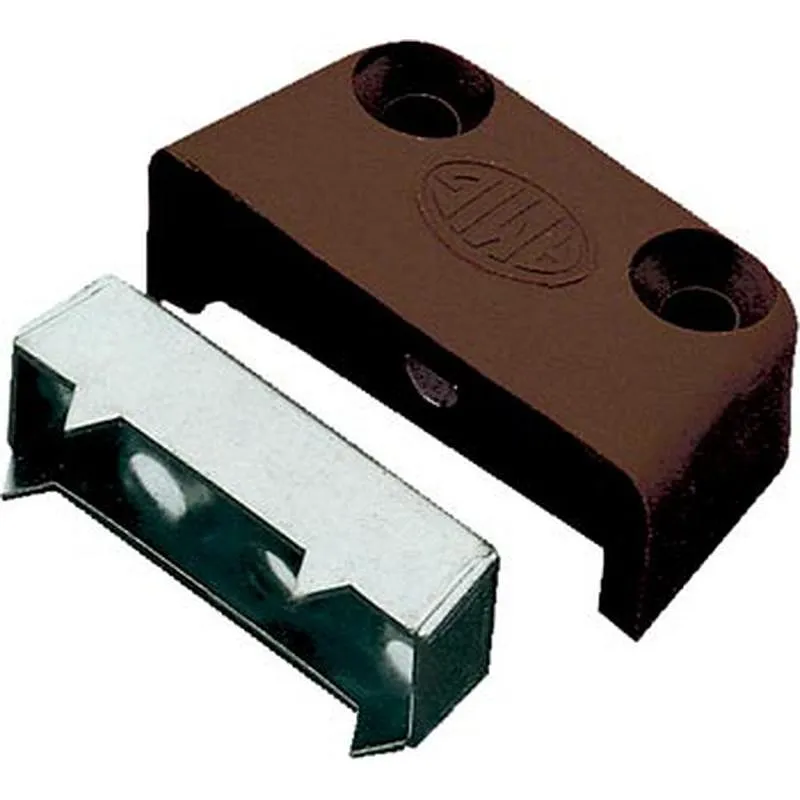 Compra TORNILLO ENSAMBLAJE MODELO 1 ACERO/PLASTICO MARRÓN 40 X 21 MM 2 UNIDADES AMIG 2017 al mejor precio