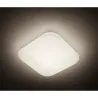 Compra PLAFON COMPACTO LED MAUVE 32,2 X 32,2 X 7,5CM LUZ NEUTRA 2000LM 17W PHILIPS 3111031P3 al mejor precio