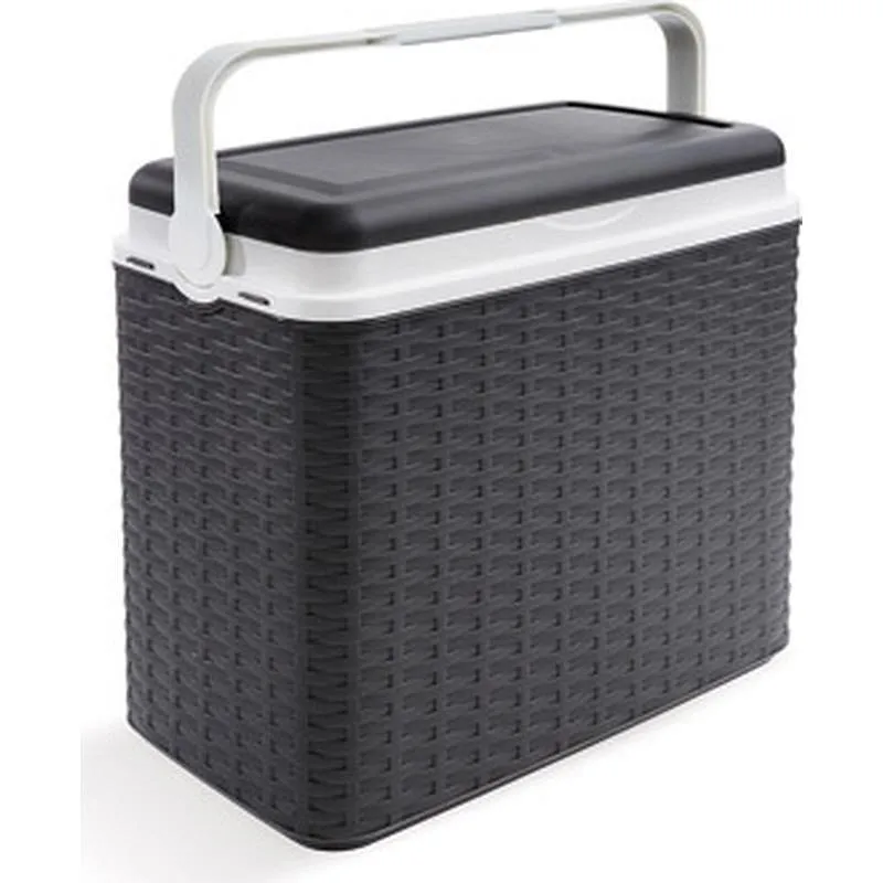 Compra NEVERA RIGIDA 24 L RATAN ANTRACITA 689510 al mejor precio