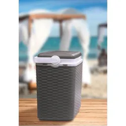 Compra NEVERA RIGIDA 24 L RATAN ANTRACITA 689510 al mejor precio