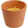 Compra VELA CITRONELA BOL TERRACOTA diametro 63X77 MM IMPORT 420000060/422000010 al mejor precio