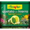 Compra FERROTRENE QUELATO HIERRO 50 GR FLOWER 1-10905 al mejor precio