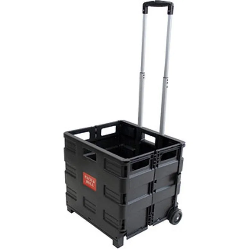 Compra CARRO CAJA PLEGABLE NEGRO 42 X 37 X 40,5 CM NIVEL 0001 al mejor precio