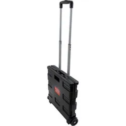 Compra CARRO CAJA PLEGABLE NEGRO 42 X 37 X 40,5 CM NIVEL 0001 al mejor precio