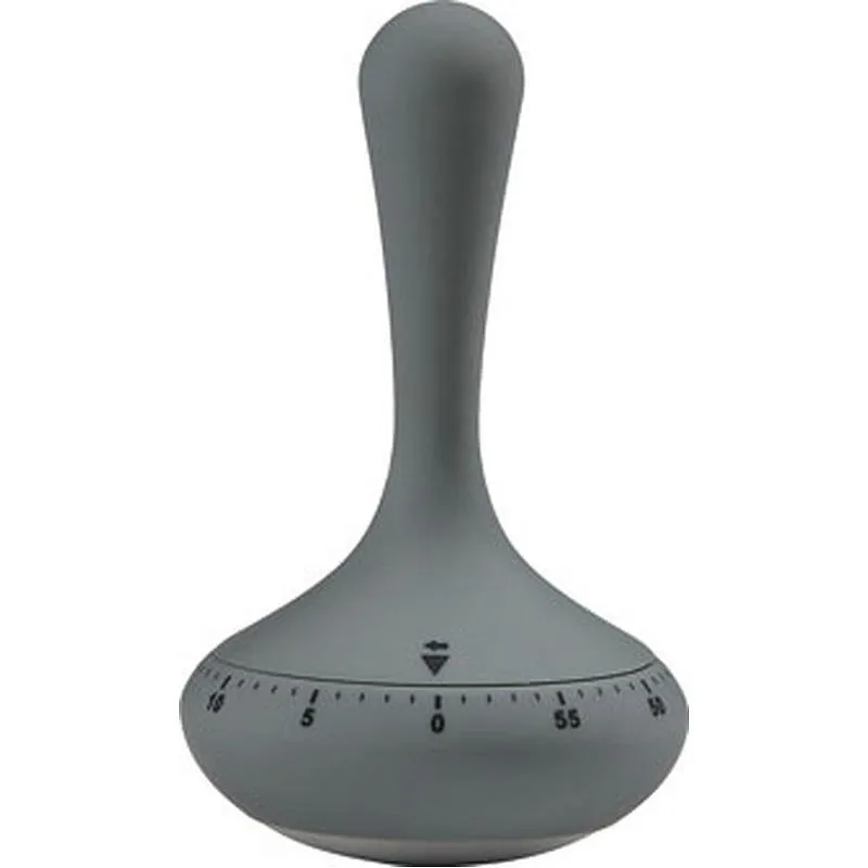 Compra TIMER ACERO ABS GRIS 6,6X12 CM 330075 al mejor precio