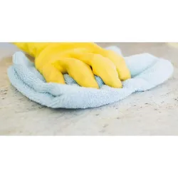 Compra BAYETA MICROFIBRA (5 UDS) 38X38 CM NESPOLI ES321311 al mejor precio