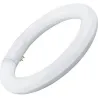 Compra TUBO FLUORESCENTE LED CIRCULAR T-9 22CM LUZ FRIA 15W MATEL 20747 al mejor precio