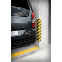 PROTECTOR PARKING...
