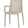 SILLA POLIPROPILENO DALLAS TAUPE DALLAS TAUPE 110
