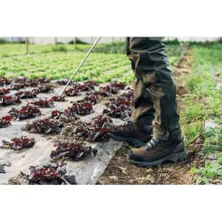 Compra BOTA AGRO MARRON TALLA 42 BELLOTA FTW0142BO2 al mejor precio