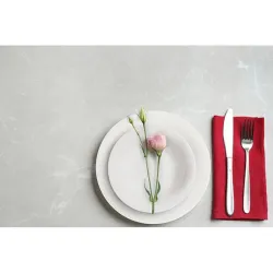 Compra PLATO PORCELANA GRABADO BLANCO LLANO-27 CM 4470001 al mejor precio