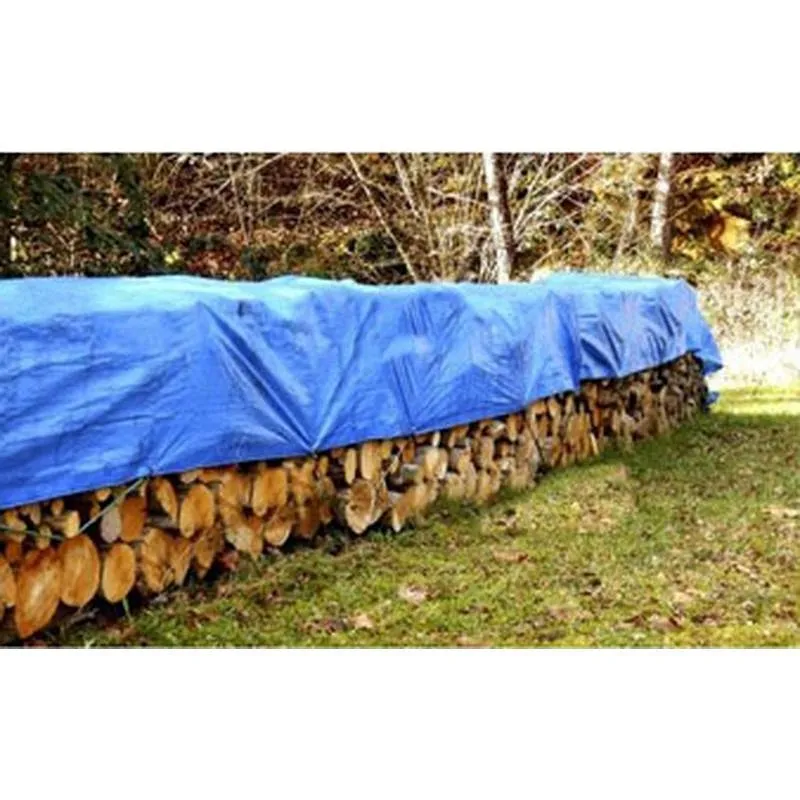 Compra TOLDO POLIETILENO 90 GRS CON OJALES AZUL/VERDE 3 X 5 M BOX PLUS 5084719 al mejor precio