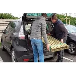 Compra PANEL ISYA 180 X 176 CM ESPESOR 40 MM FOREST 4444 al mejor precio